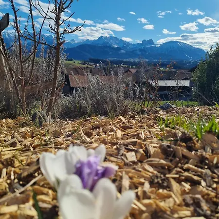 Poppler Mit Aufzug Apartmán